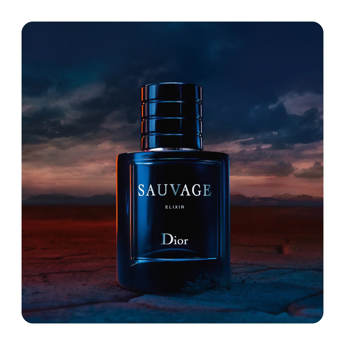 DIOR SAUVAGE ELIXIR 60ML - Imagen 3